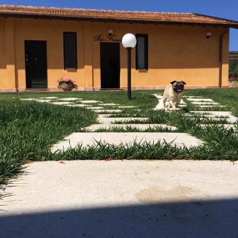 Borgo Bernabei Guest House Buriano  Exterior photo
